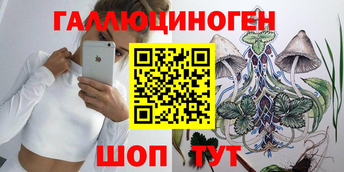 Ржев  Псилоцибиновые грибы Magic Shrooms  Вход с VPN  где купить наркотик  Псилоцибиновые грибы Cubensis 